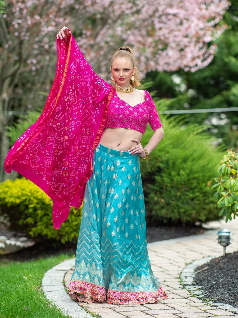 Beautiful Pink And Blue Printed Lehenga Set - Rent