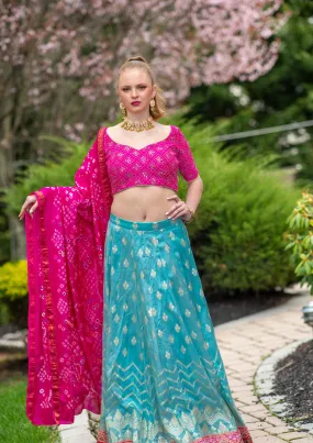 Beautiful Pink And Blue Printed Lehenga Set - Rent