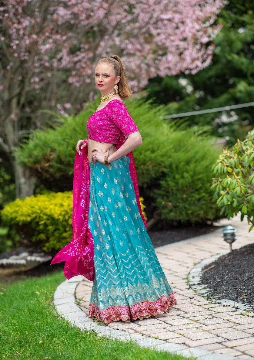 Beautiful Pink And Blue Printed Lehenga Set - Rent