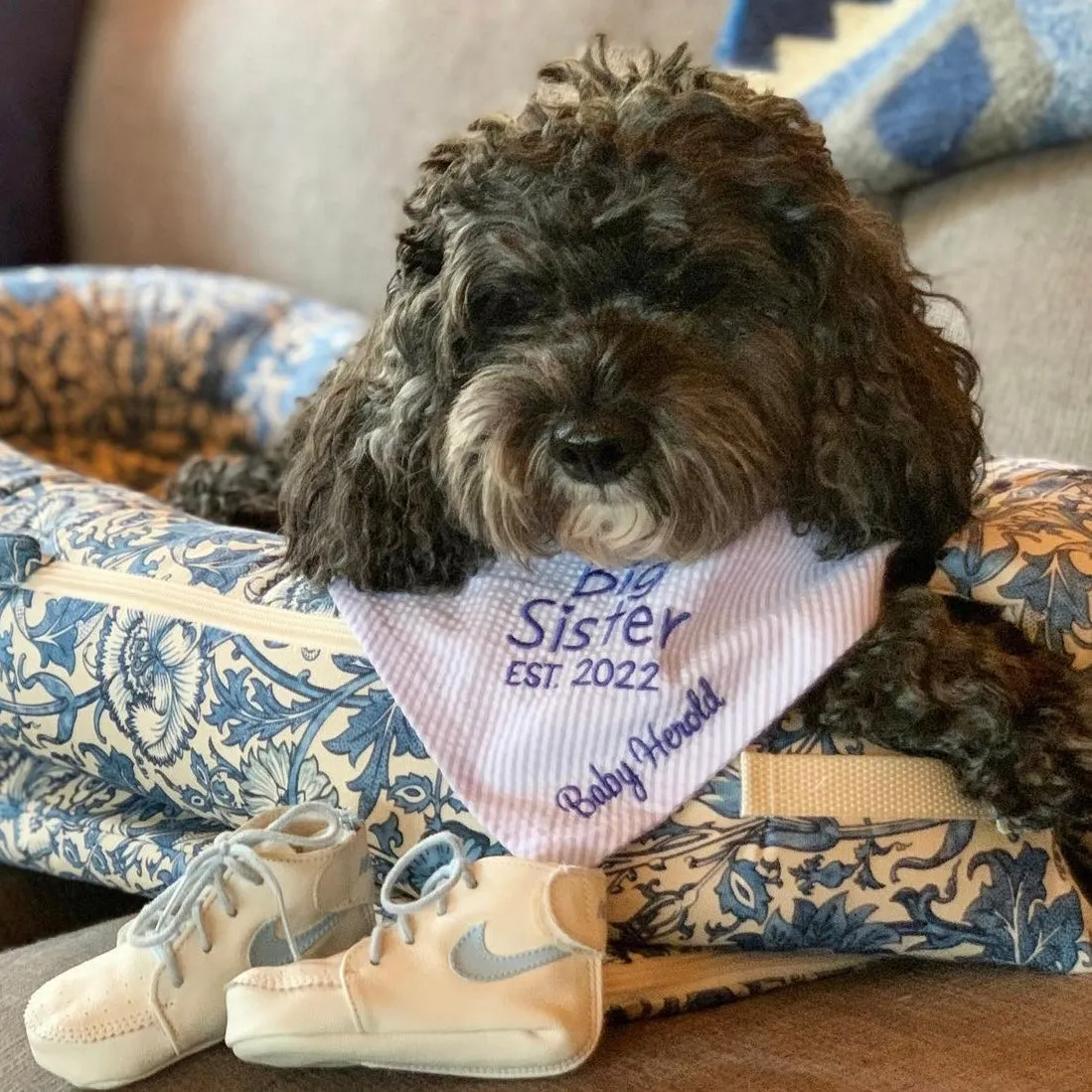 Engagement Annoucement Embroidered Dog Bandanas