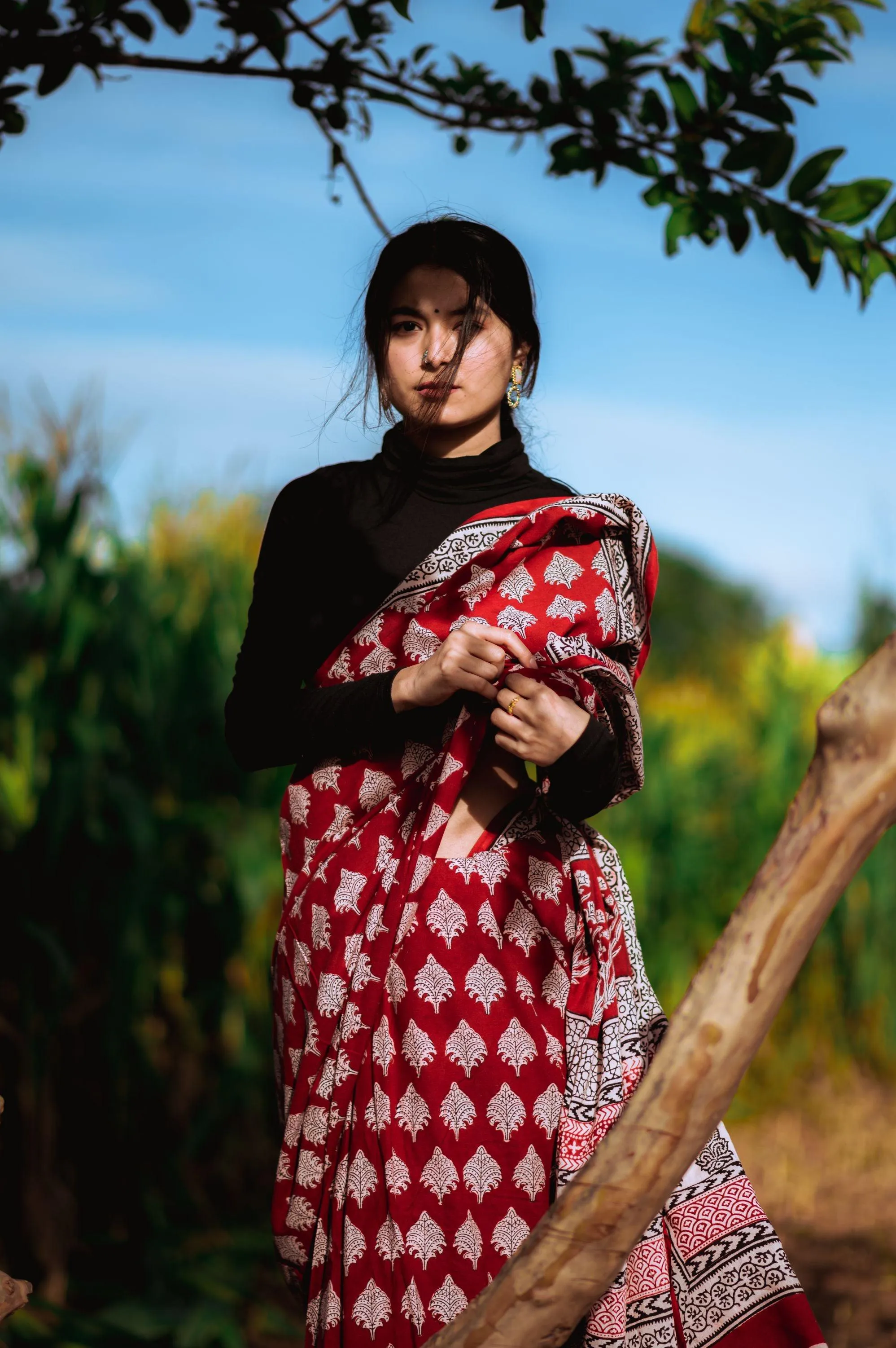 Kaisori Nandana Bagh handblockprinted cotton saree