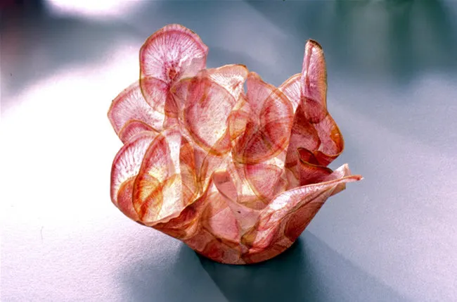 Margaret Dorfman, Vegetable & Fruit Parchment Bowls