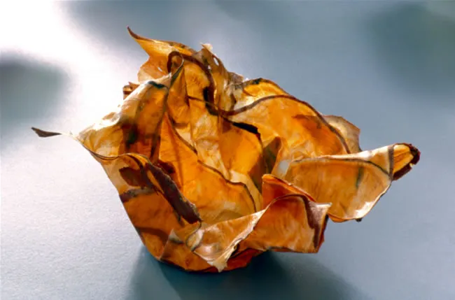 Margaret Dorfman, Vegetable & Fruit Parchment Bowls